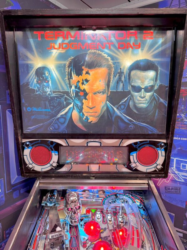 FLIPPER TERMINATOR 2 WILLIAMS - OCCASION – Image 7